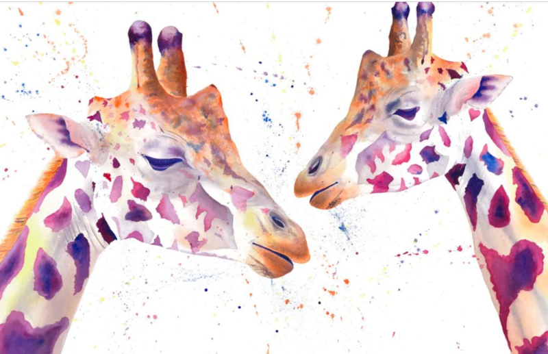 watercolour painting of two giraffes